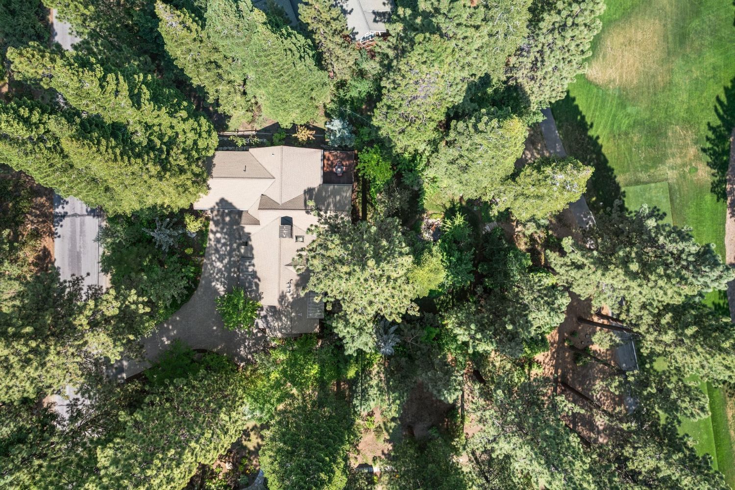 Overhead aerial view of a home tucked among tall pines beside the fairways of the Championship Golf Course in Incline Village